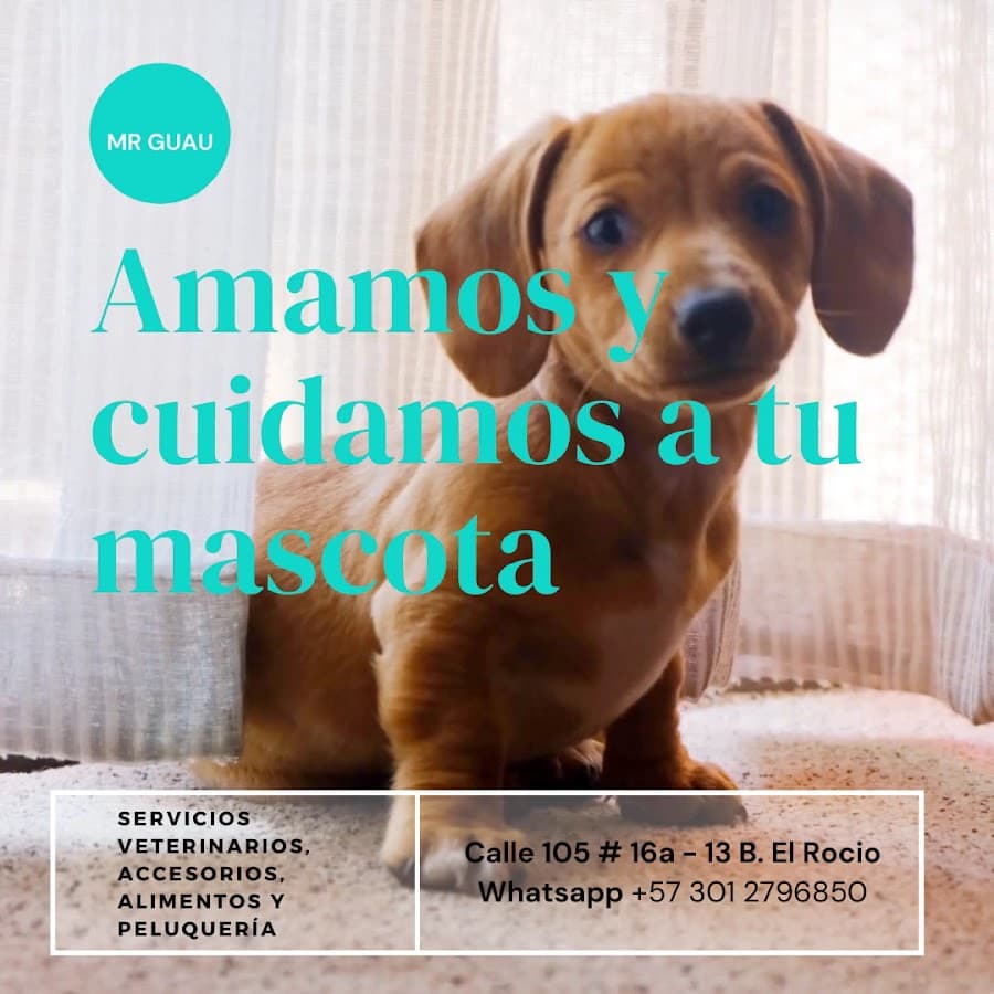 Veterinaria Mr Guau — foto