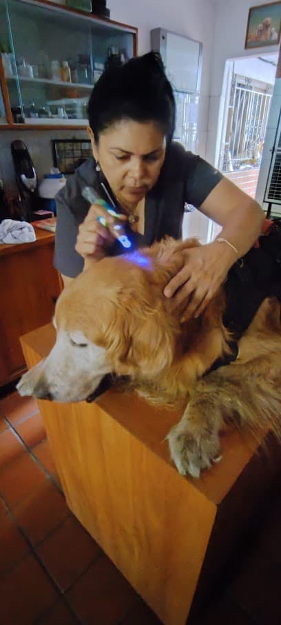 Veterinaria Labrador — foto