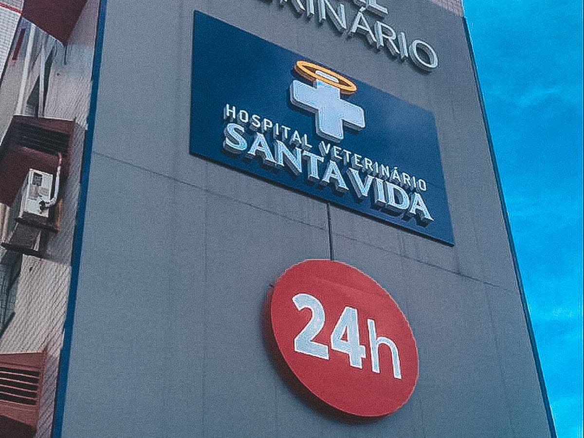 Amma Suporte Veterinário — foto