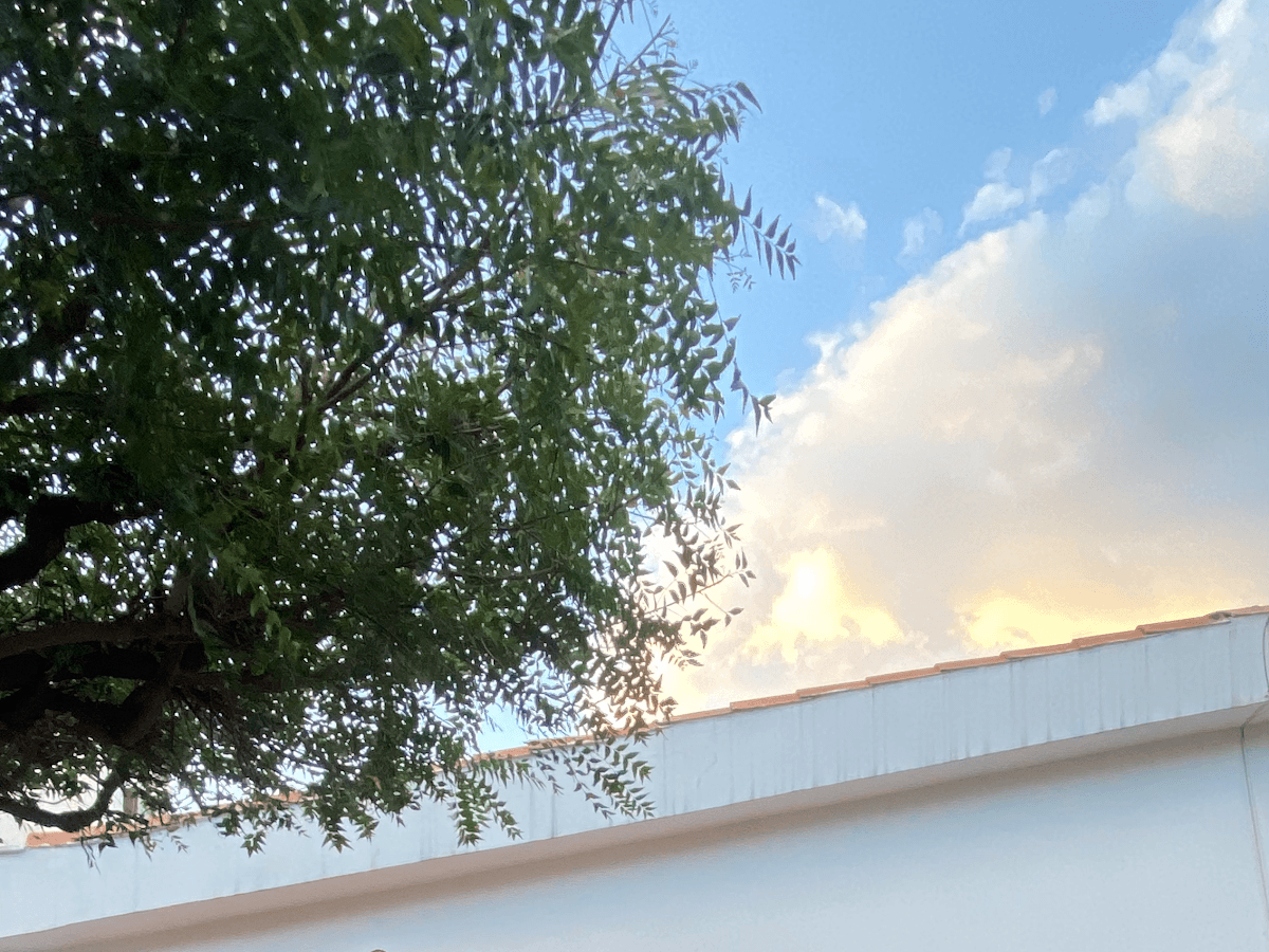 Clínica odontológica Doctoras Gelvez — foto