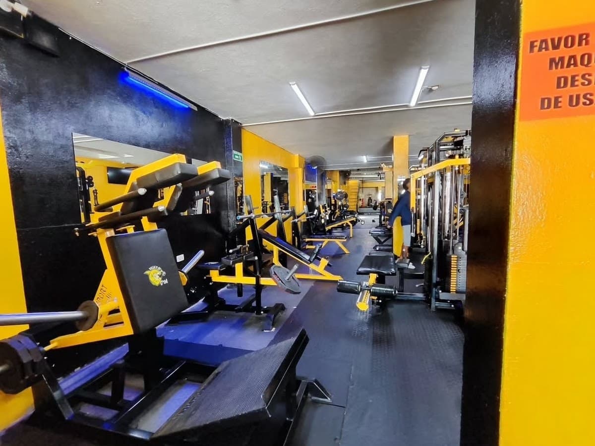Force Fitness — foto