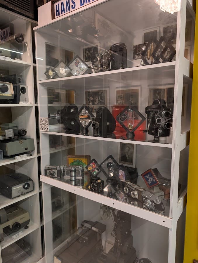 Museo CALIWOOD — foto