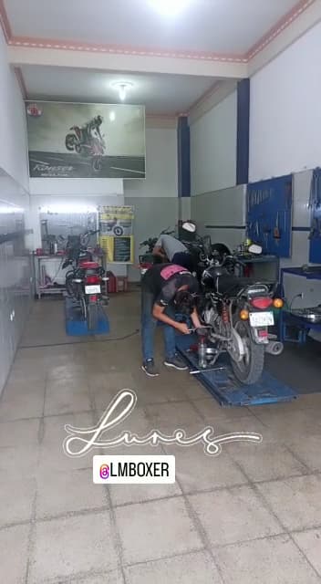 LM BOXER — foto