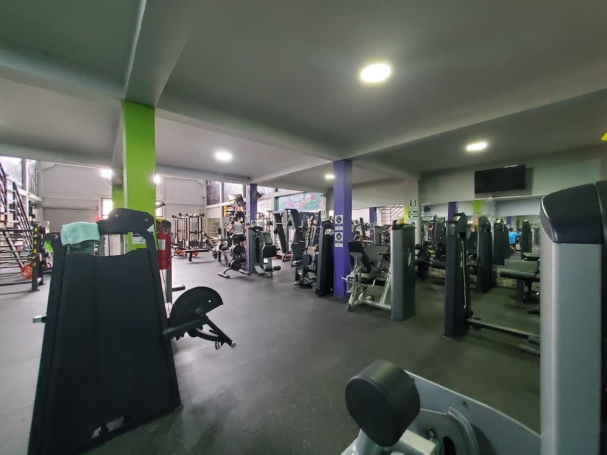 Fort Gym