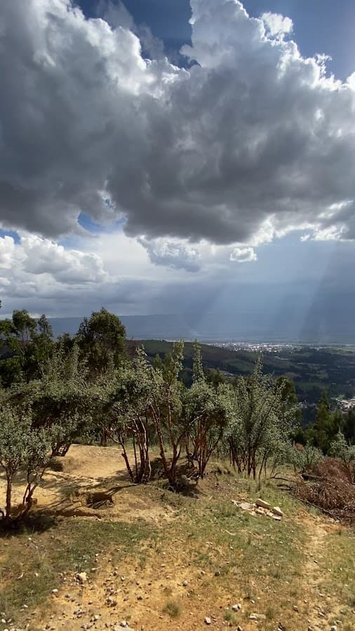 Mirador Bosque Dorado — foto