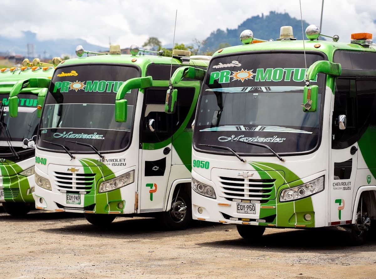 Promotur