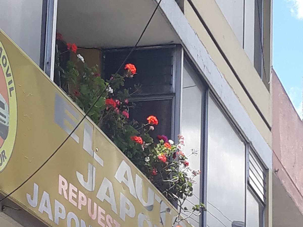 EL AUTOMOVIL JAPONES CIA. LTDA. (MATRIZ) — foto