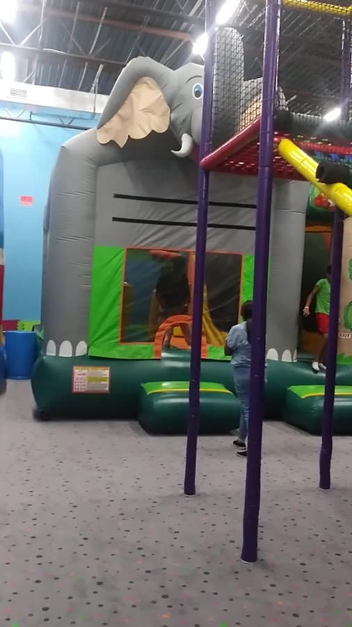 Playgrounds of Tampa — foto