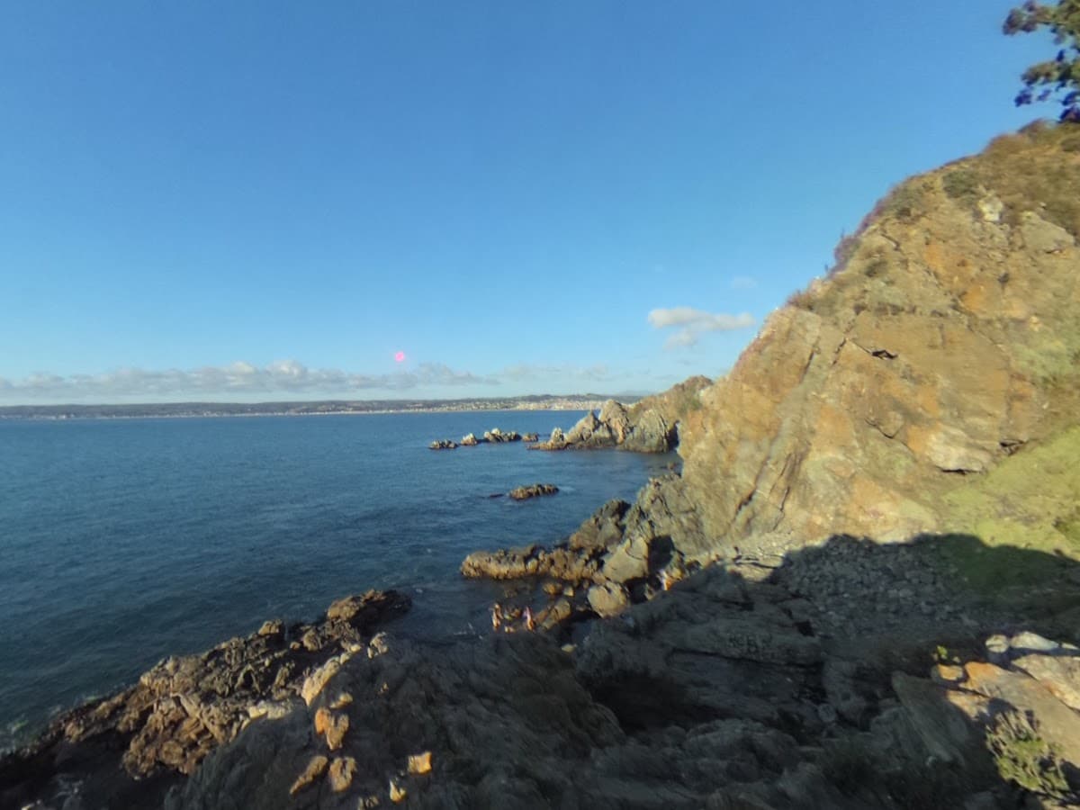 Caleta Vieja — foto