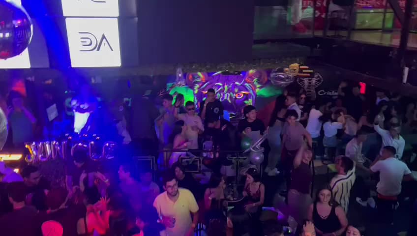 Safari Disco Club — foto
