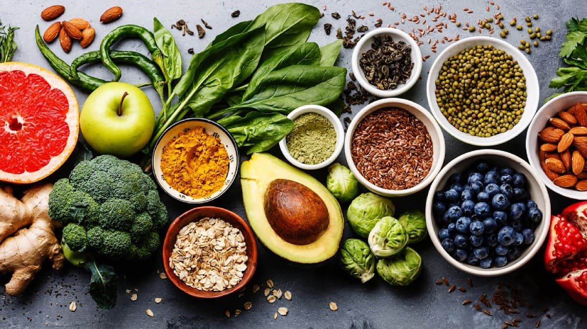 True Paleo Inc.