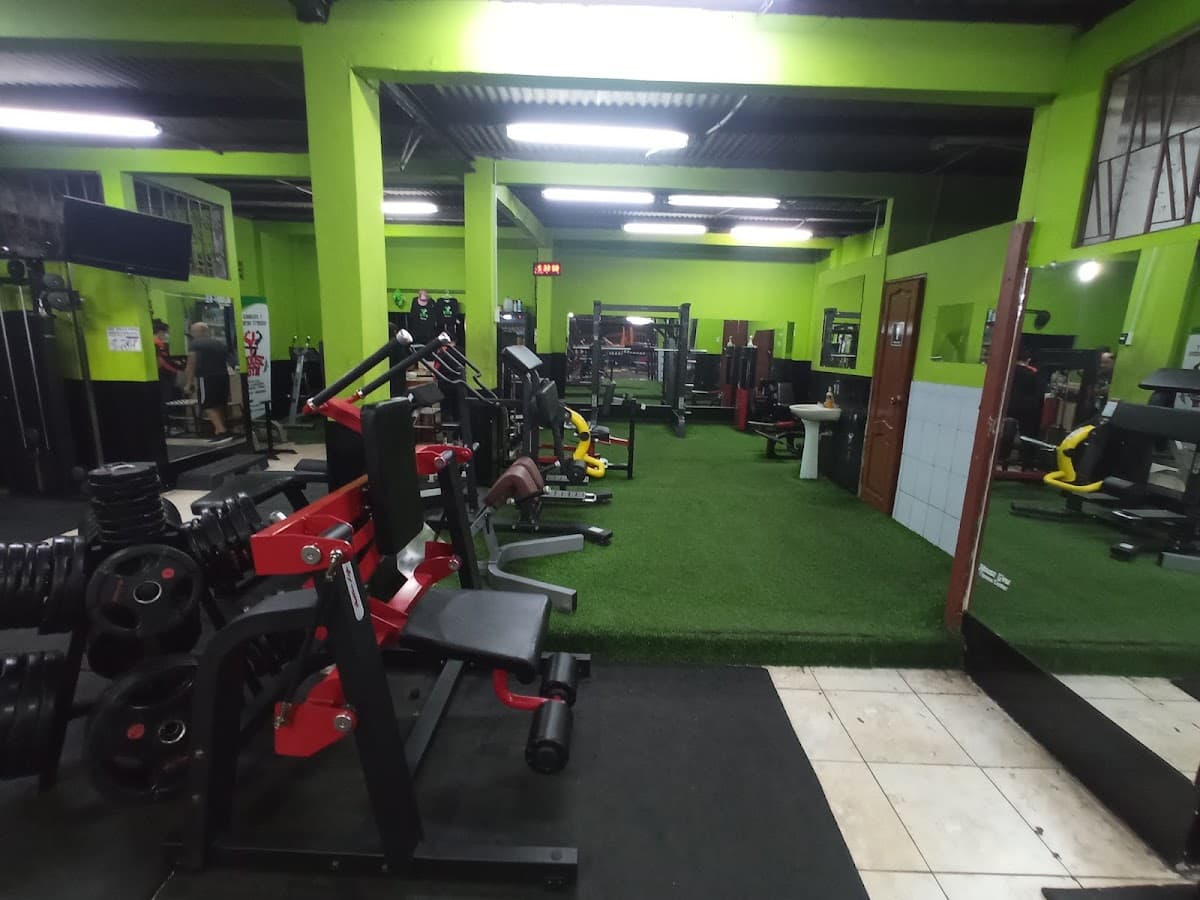 HOUSE GYM 💚🖤