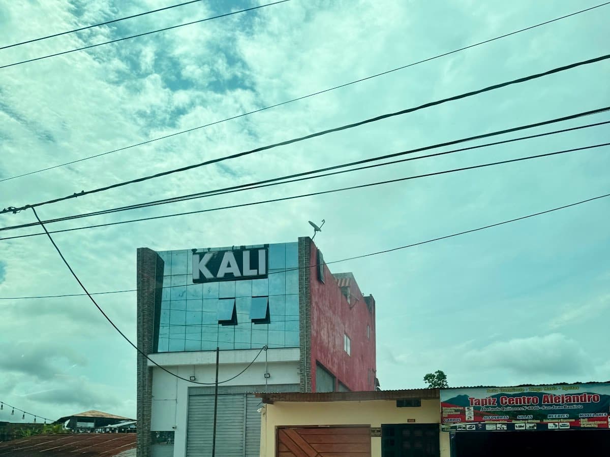 Alfil manoso — foto