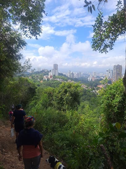Bosque de los Caminantes