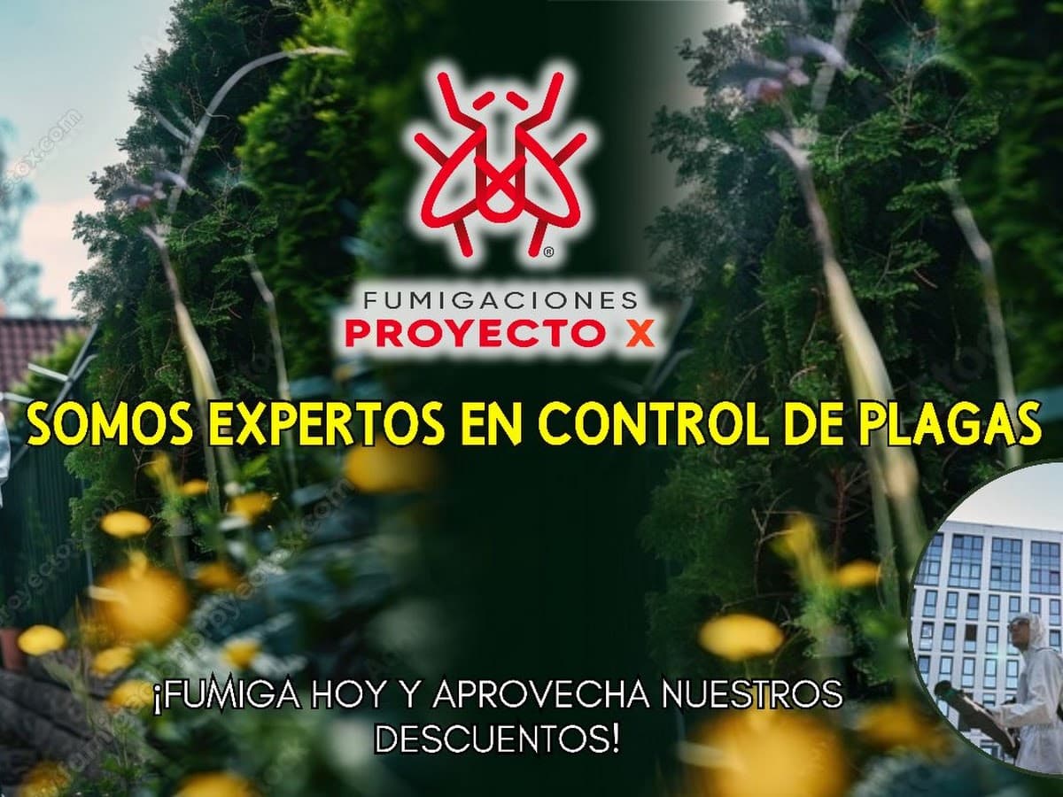 Fumigacion en Trujillo - Proyecto X Somos expertos en control de plagas