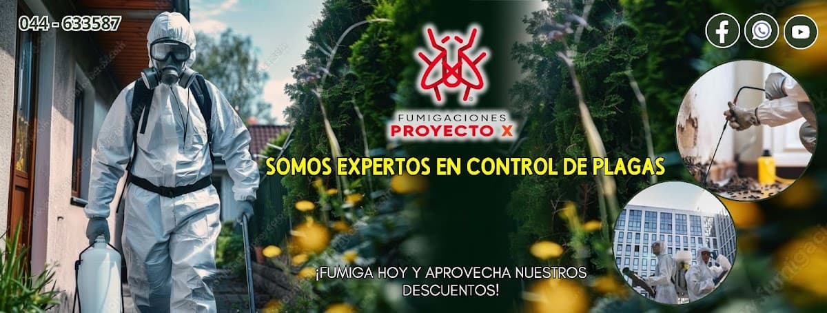 Fumigacion en Trujillo - Proyecto X Somos expertos en control de plagas — foto