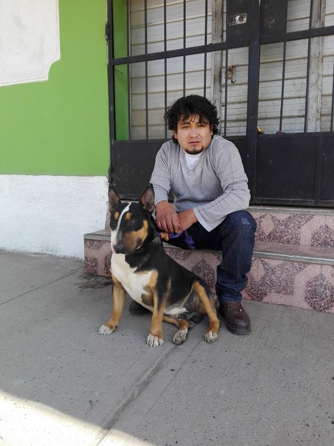 Pet Shop "Mundo Canino" Grooming — foto