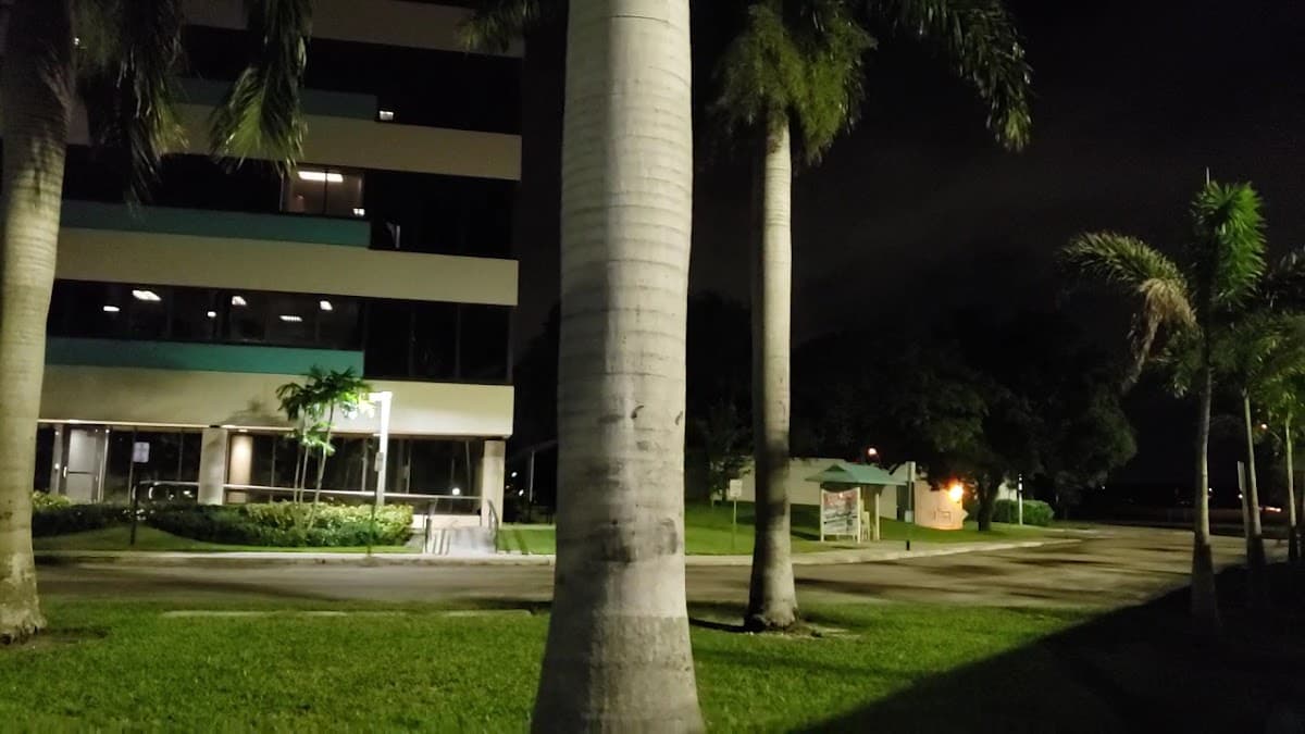 The Palm Beaches — foto
