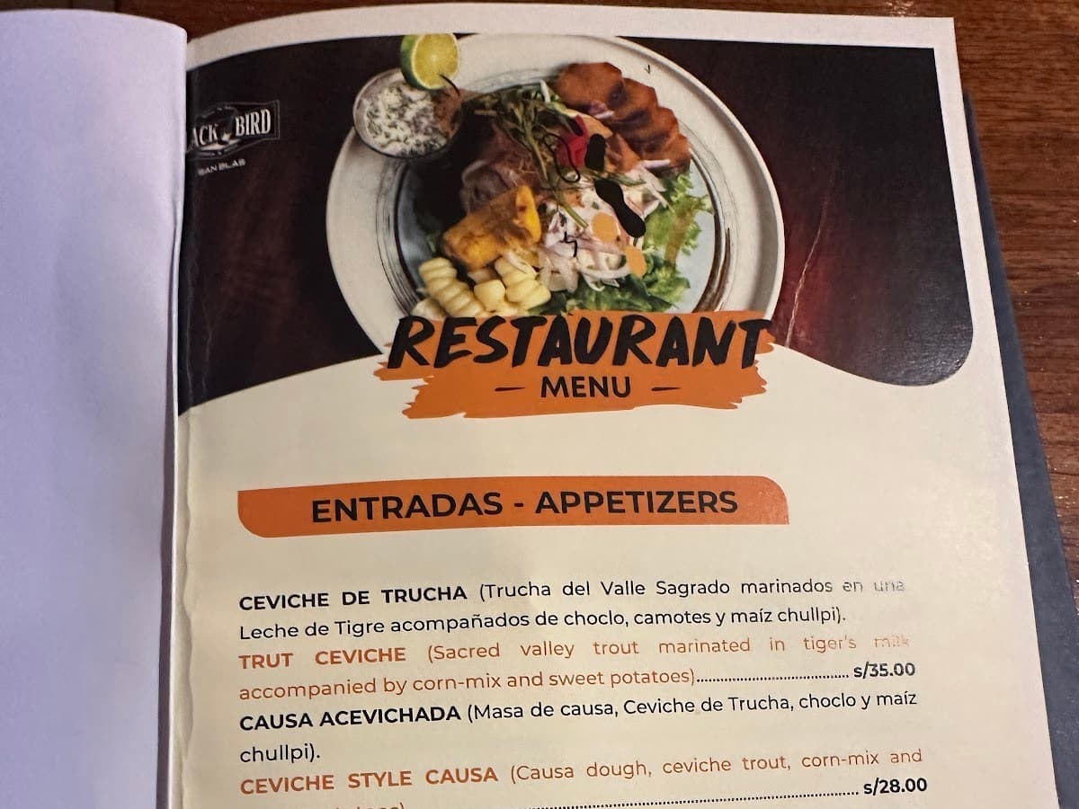 Black Bird San Blas — foto