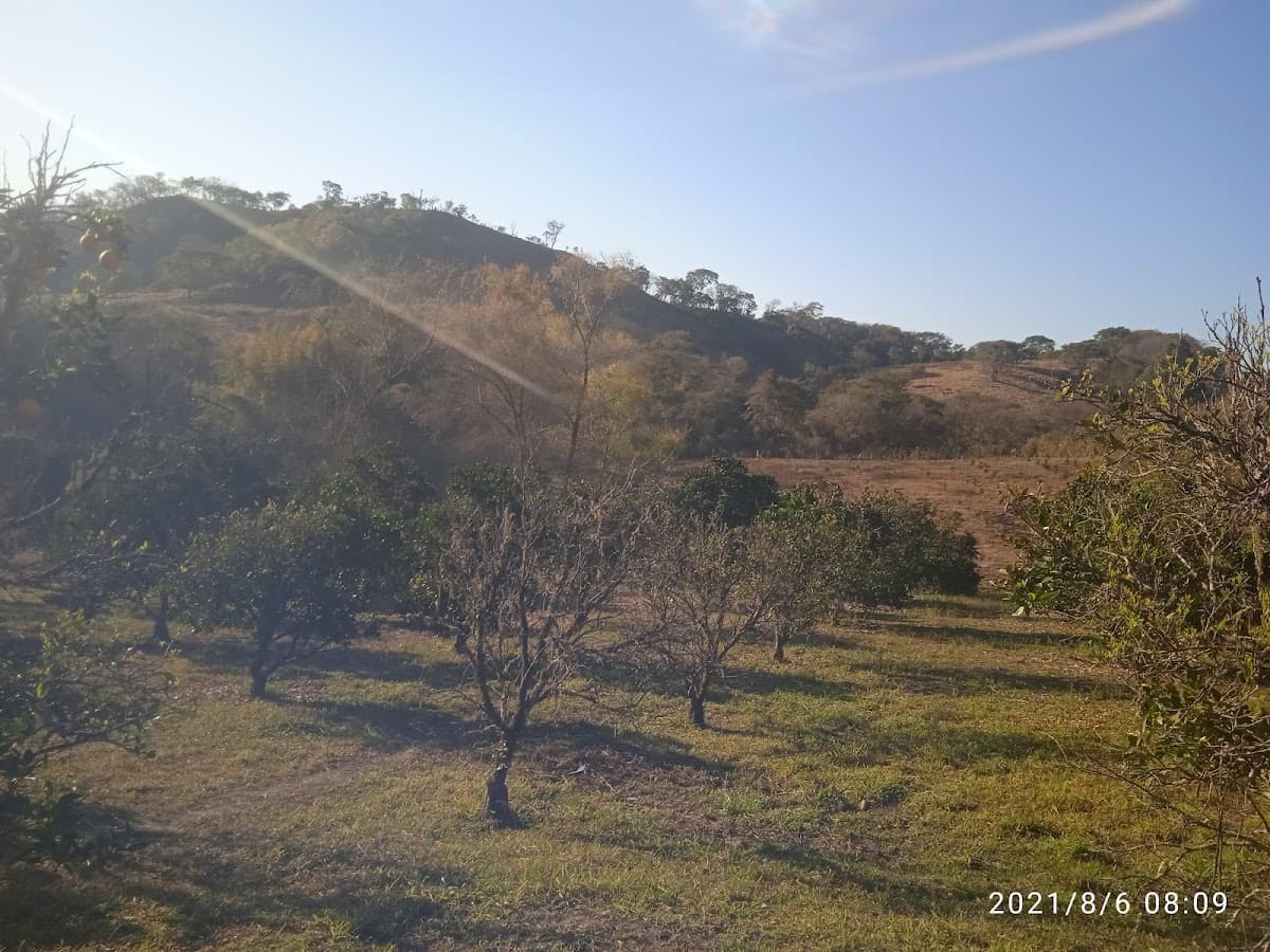 Curichi La Madre — foto