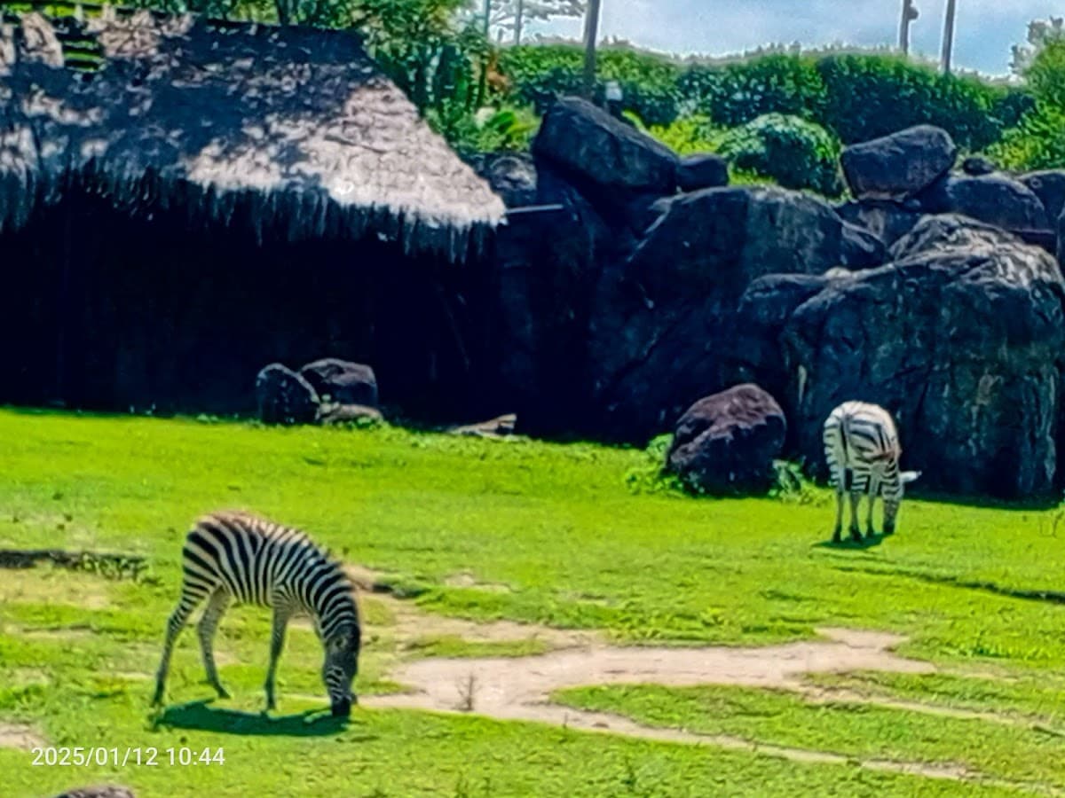 Pajoy Tours