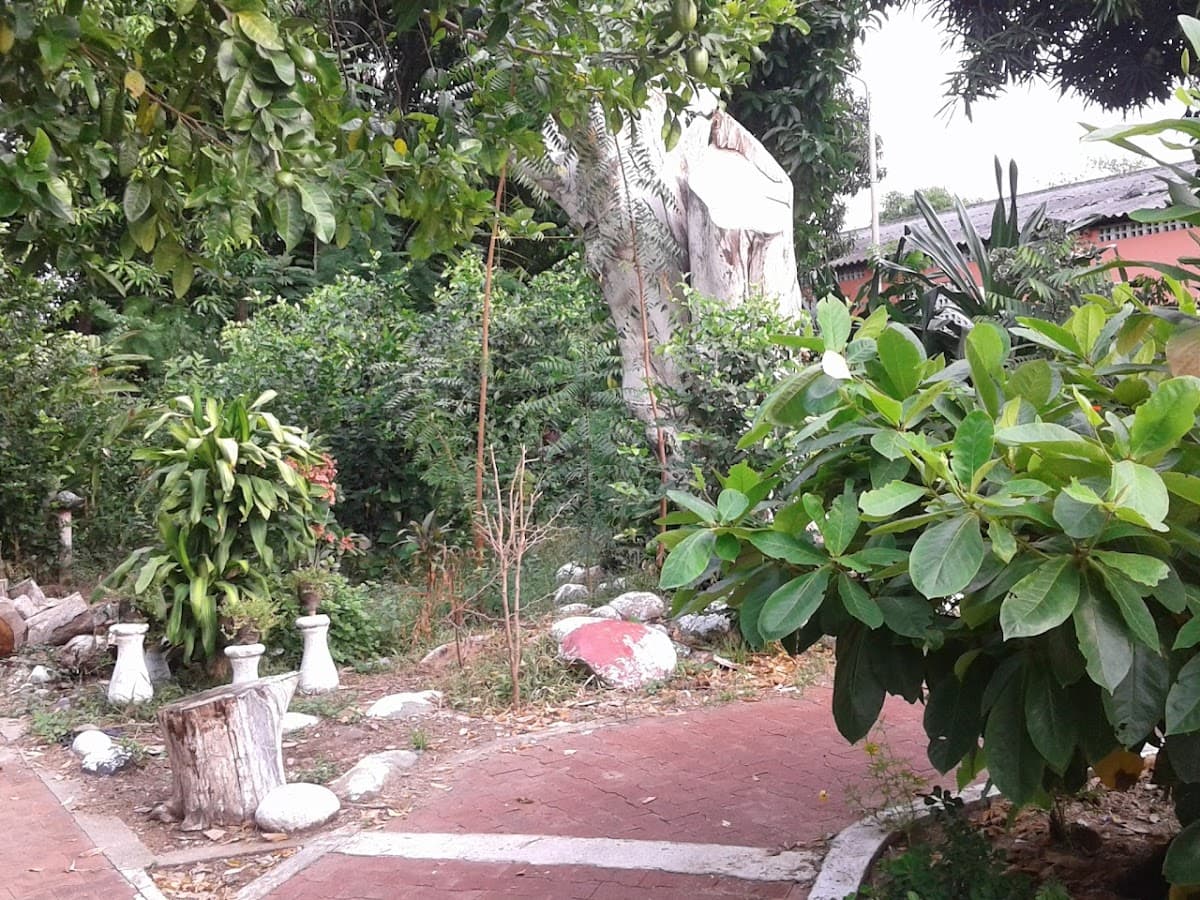 Parque Bosque Don Noe