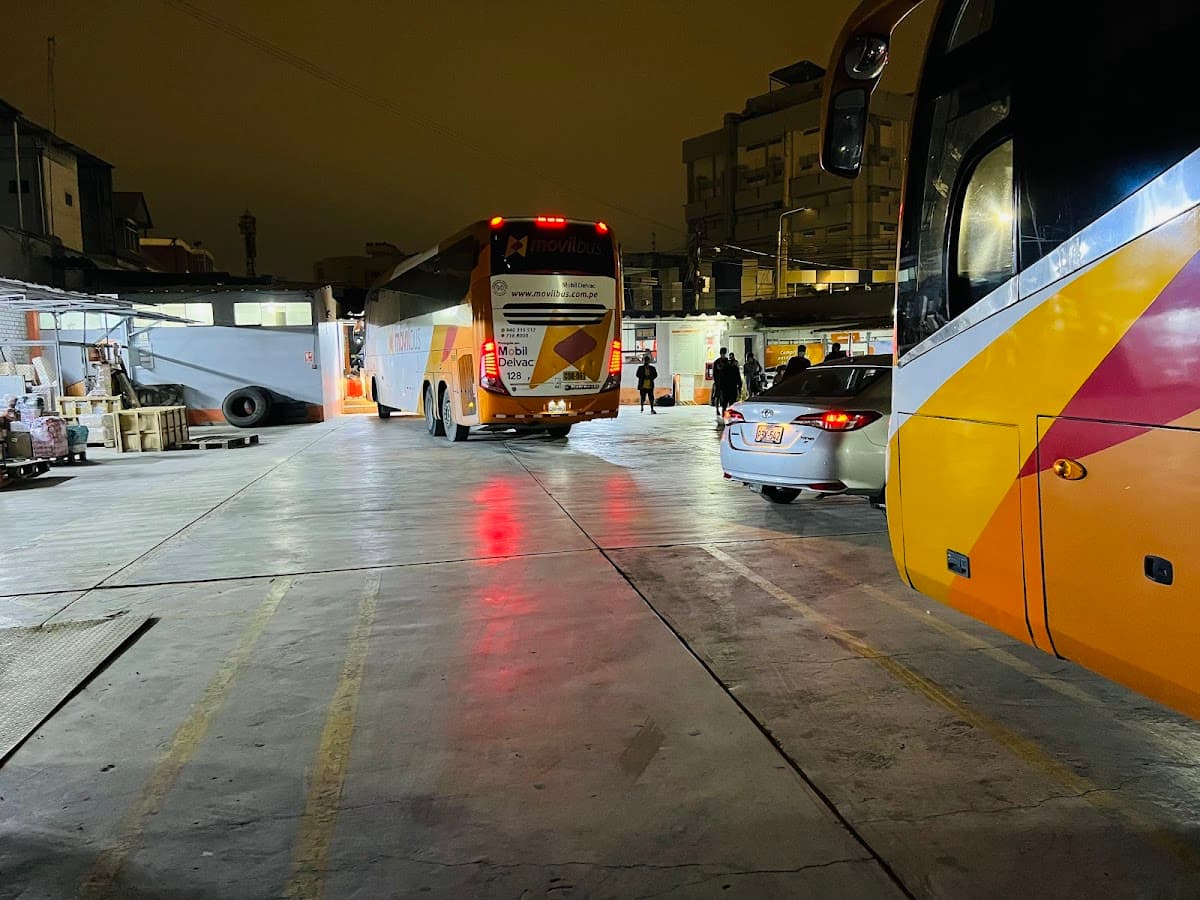 MOVIL BUS - Chiclayo — foto