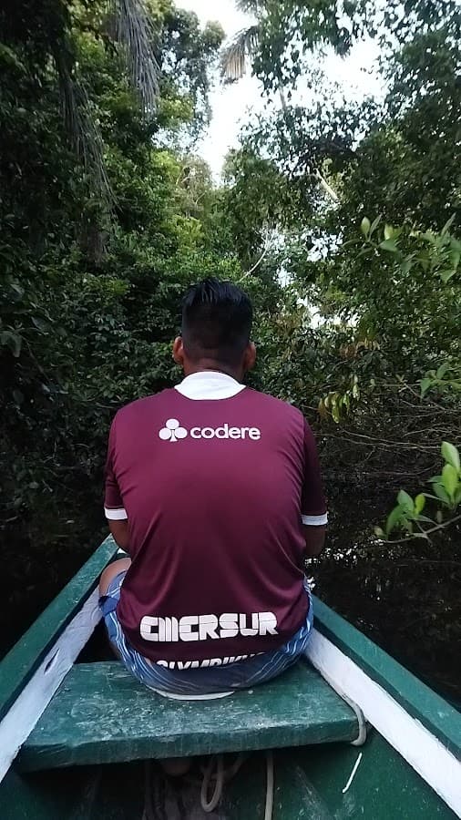 Jungle Reps — foto