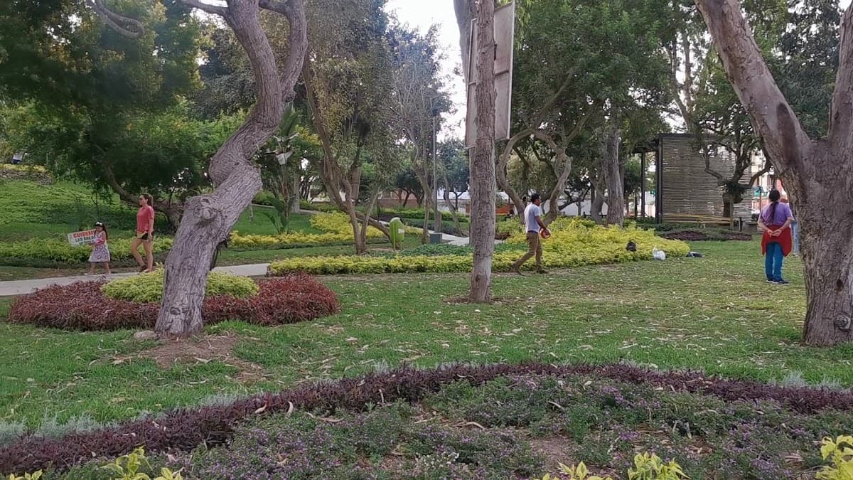 Parque Ecológico Loma Amarilla — foto