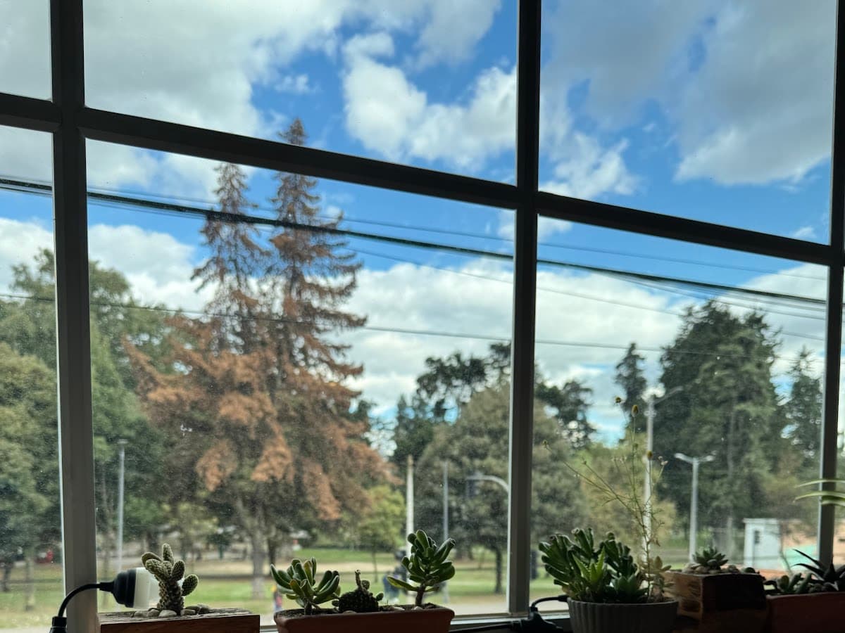 Cafetería Quito Terrace — foto