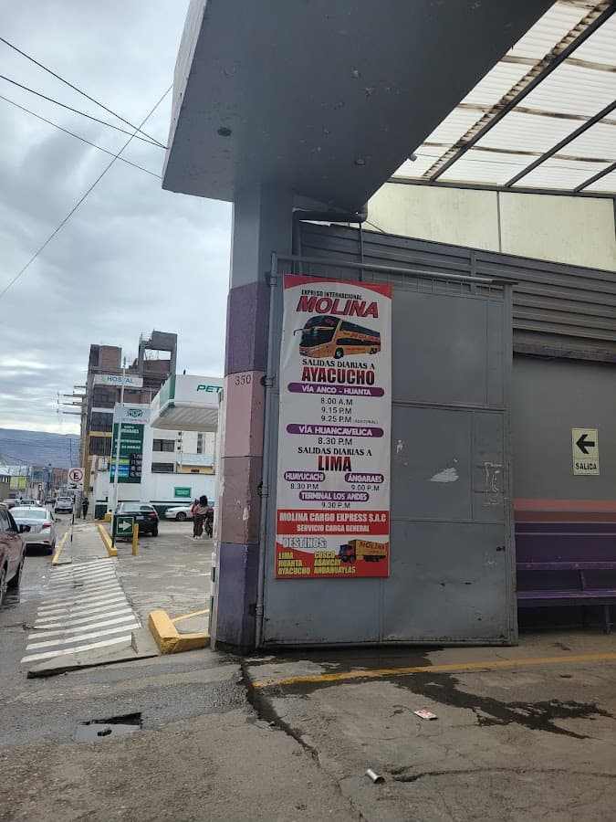 Expreso Internacional Molina SAC.