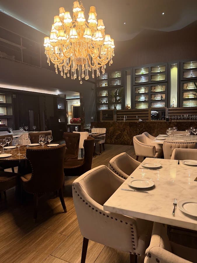 VIVANT Restaurant Café