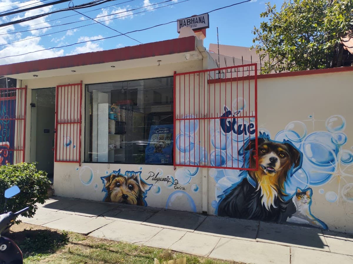 ESTÉTICA "KUKALI" peluquería de mascotas — foto