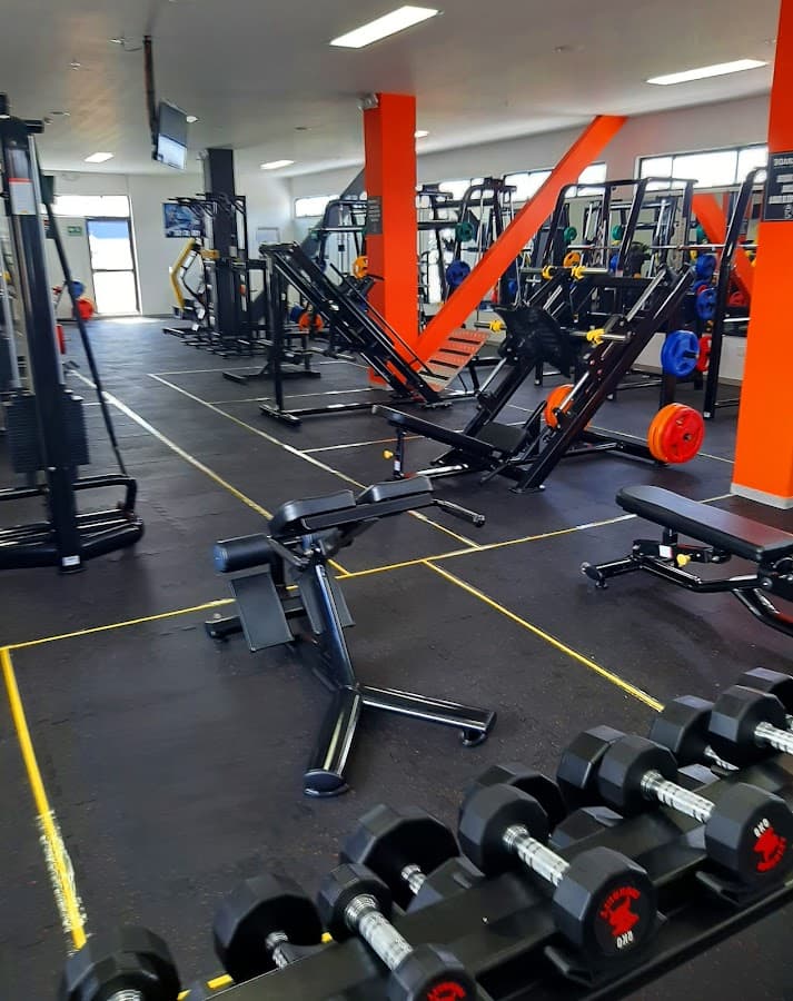 UPGRADE GIMNASIO — foto