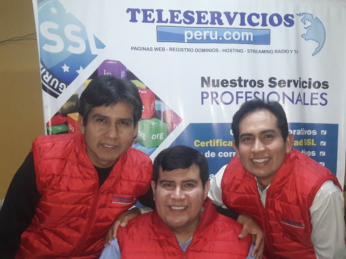 TELESERVICIOSPERU - SEO WEB PROFESIONAL