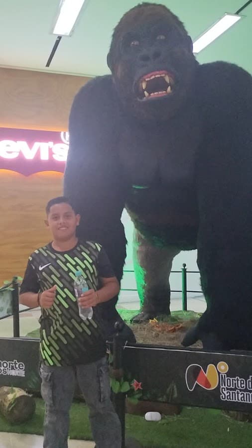 Metro Ventura — foto