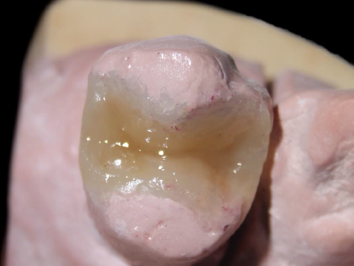Dental Mind Caracas — foto