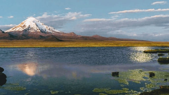 Agencia de viajes, Yat Bolivia — foto