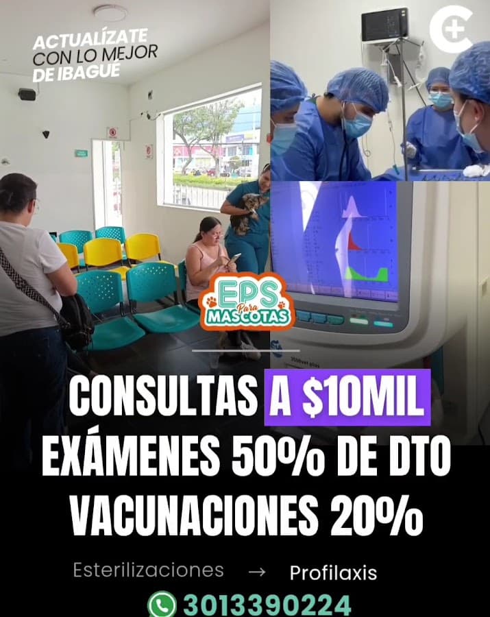 HOSPITAL VETERINARIO — foto
