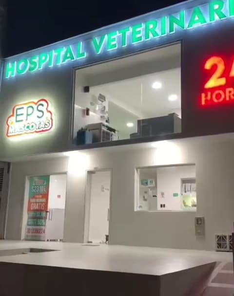 HOSPITAL VETERINARIO — foto