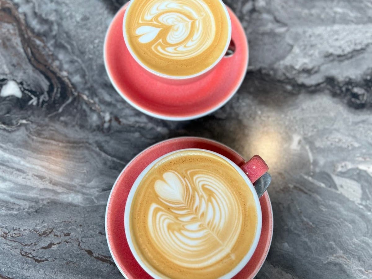Stemma Craft Coffee — foto