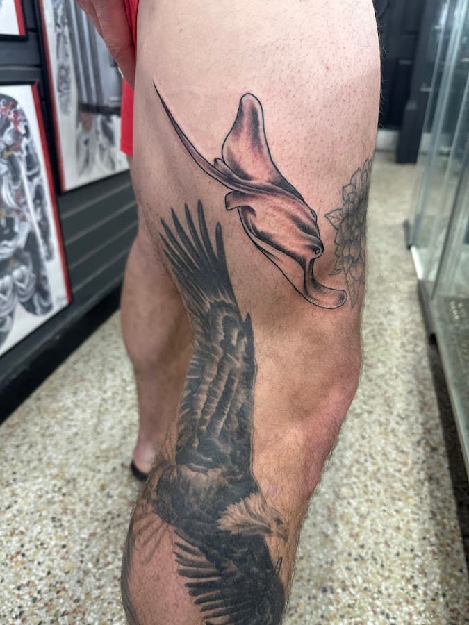 Bulldog Tattoo — foto
