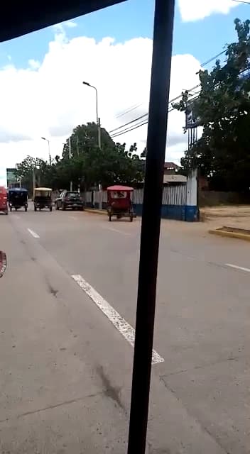 Oechsle Pucallpa — foto