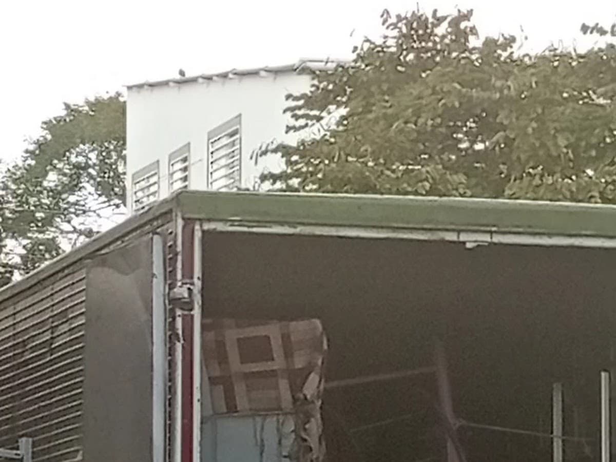 Logistica mudancera RUTA 40 — foto