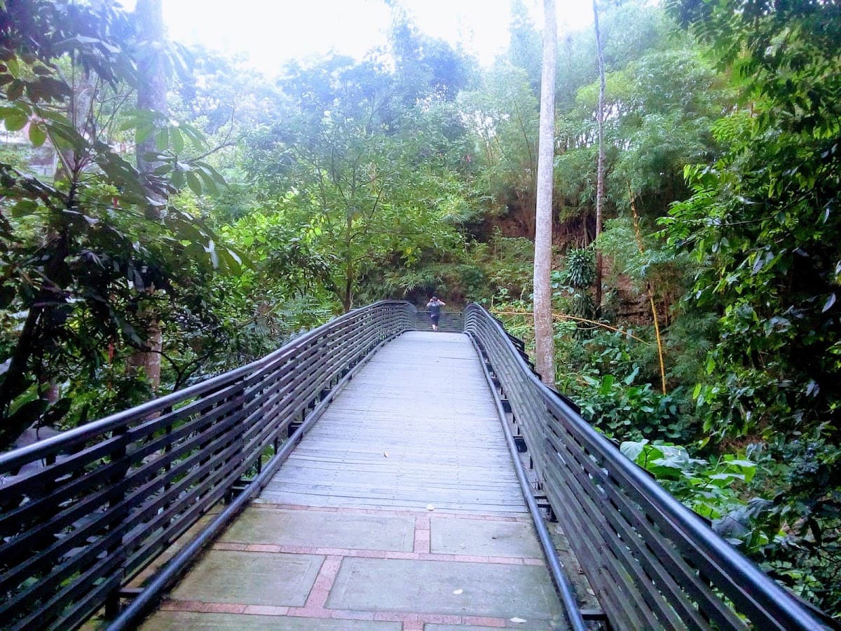 Parque de Las Mojarras