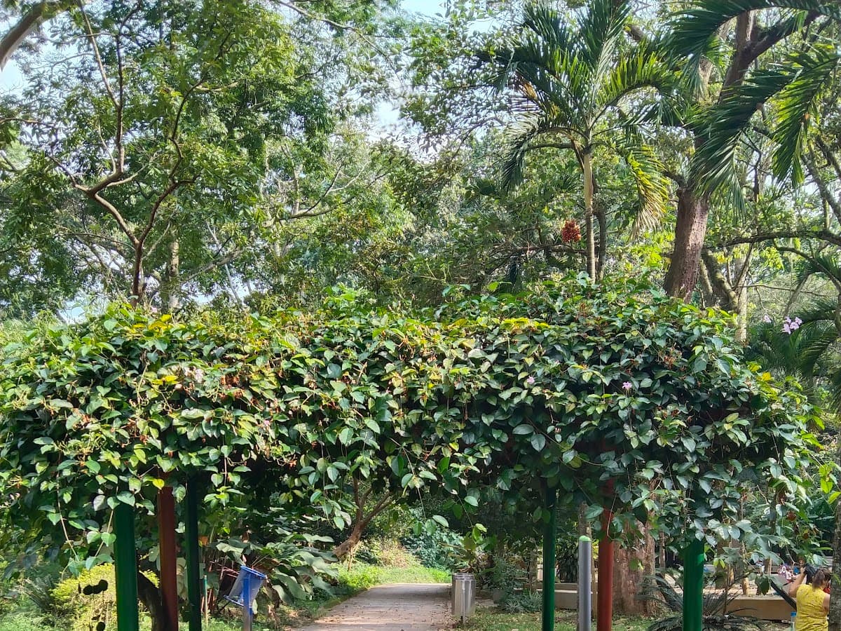 Parque de Las Mojarras — foto