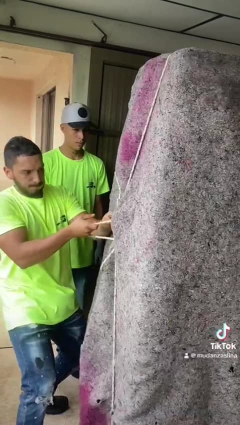 MUDANZAS Y ACARREOS LINA — foto