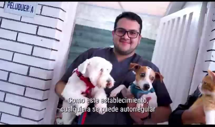Pet+diatría Clínica Veterinaria - Urgencias Bogota 24 horas- Salud, Bienestar y Amor para tus mascotas en un solo lugar — foto