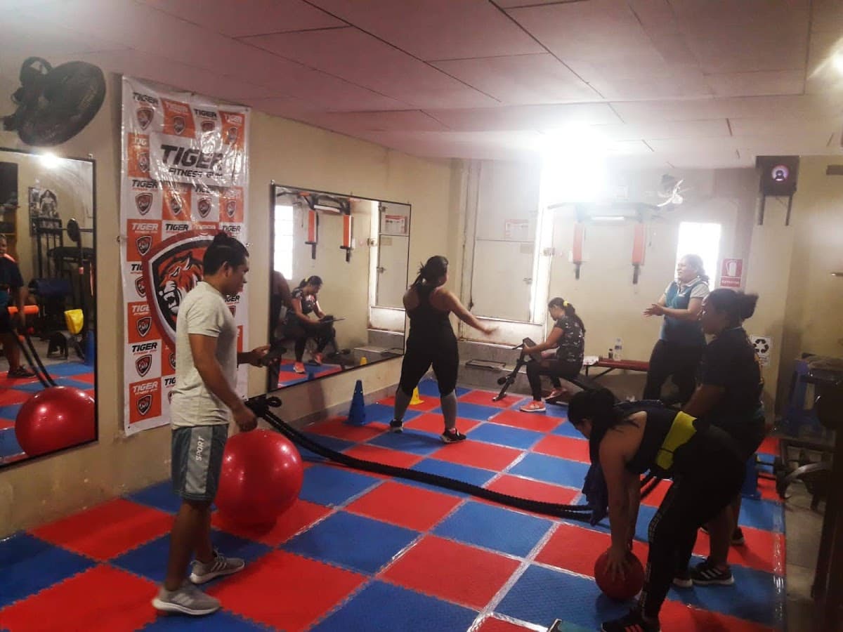 TIGER FITNESS GYM — foto