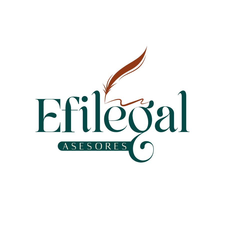 EFILEGAL ASESORES